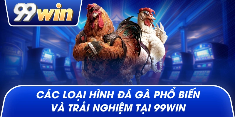 Các Loại Hình Đá Gà Phổ Biến Và Trải Nghiệm Tại 99win